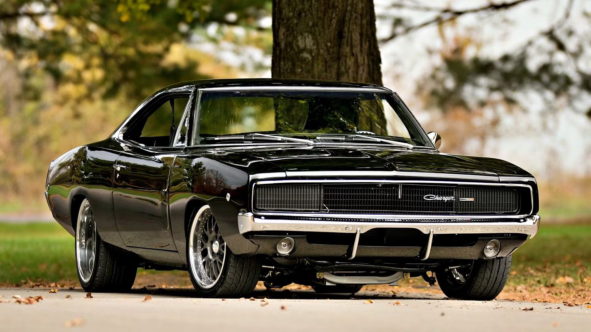 A black vintage Dodge Charger parked on a paved road beneath a tree.