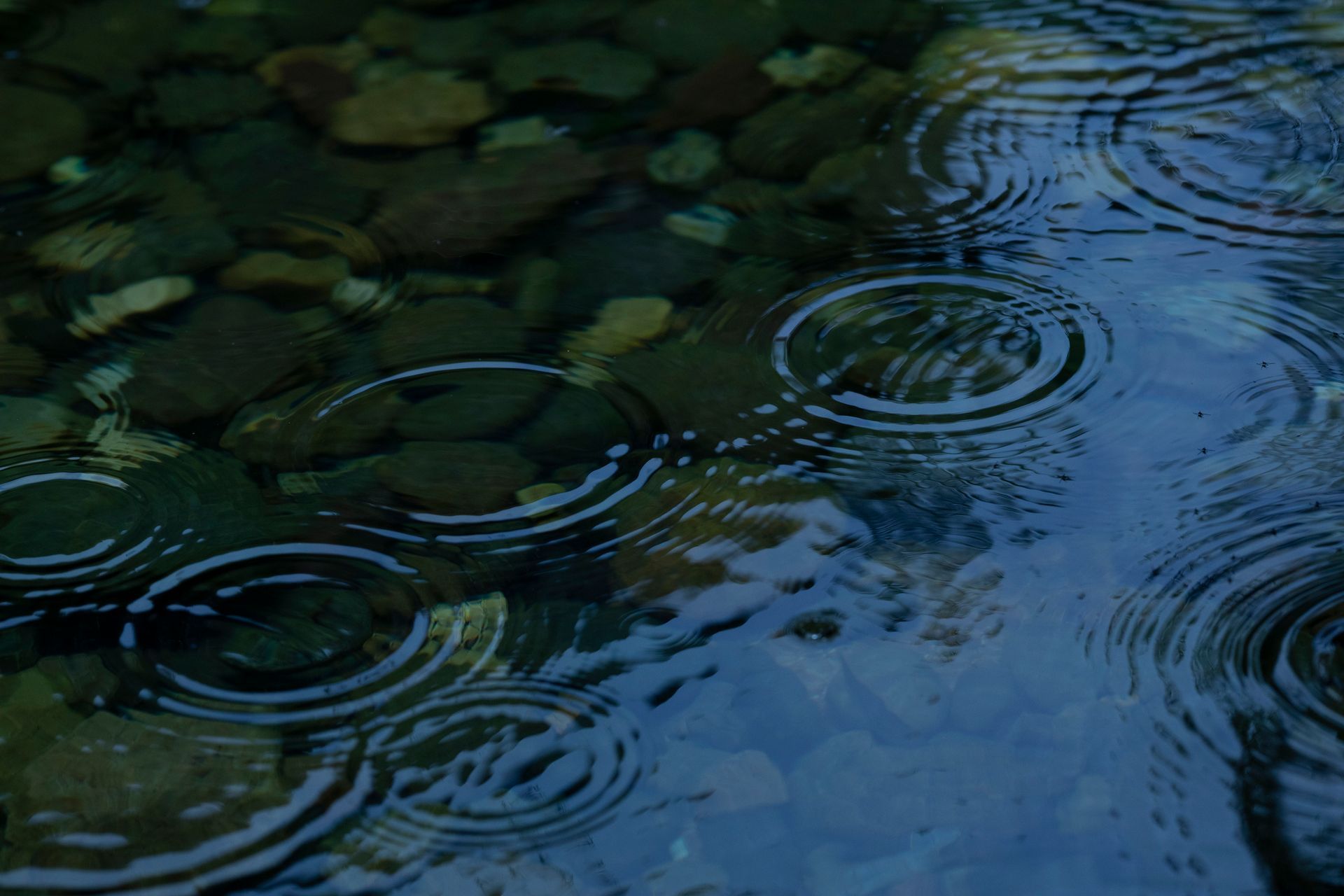 A close up of rain drops on a body of water