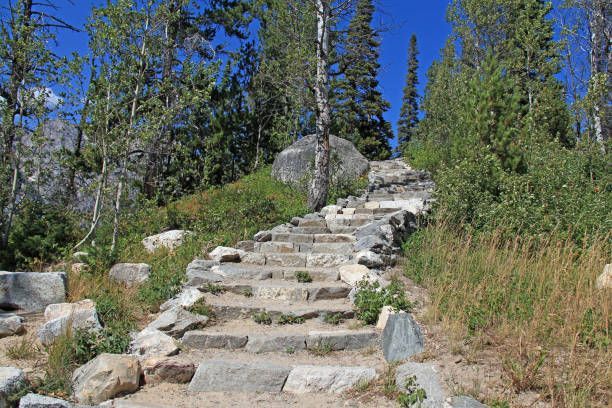 A set of stairs leading up to a mountain surrounded by trees.