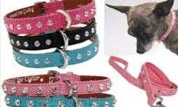Dog Leashes - Pet Products in Rancho Cucamonga, CA