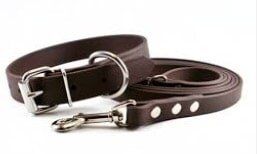 Puppey Collar - Pet Products in Rancho Cucamonga, CA