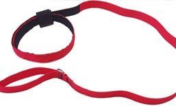 Dog Leash and Collar - Pet Products in Rancho Cucamonga, CA