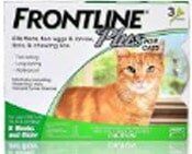 Frontline for Cats - Pet Products in Rancho Cucamonga, CA