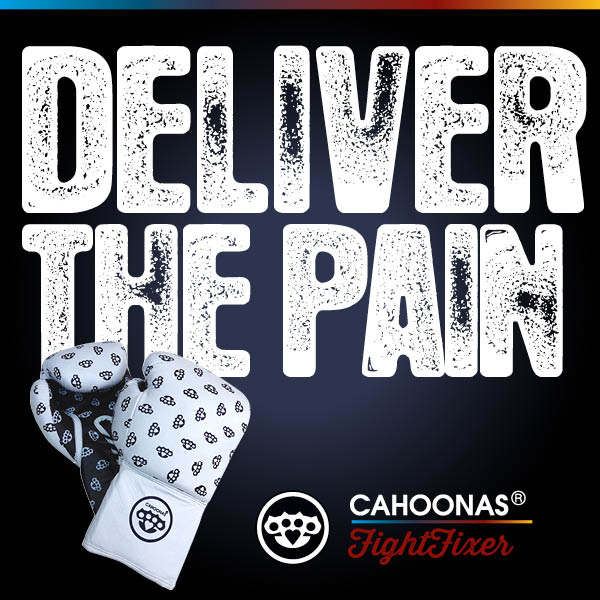 this image features a pair of boxing gloves and a large headline which reads 'deliver the pain'