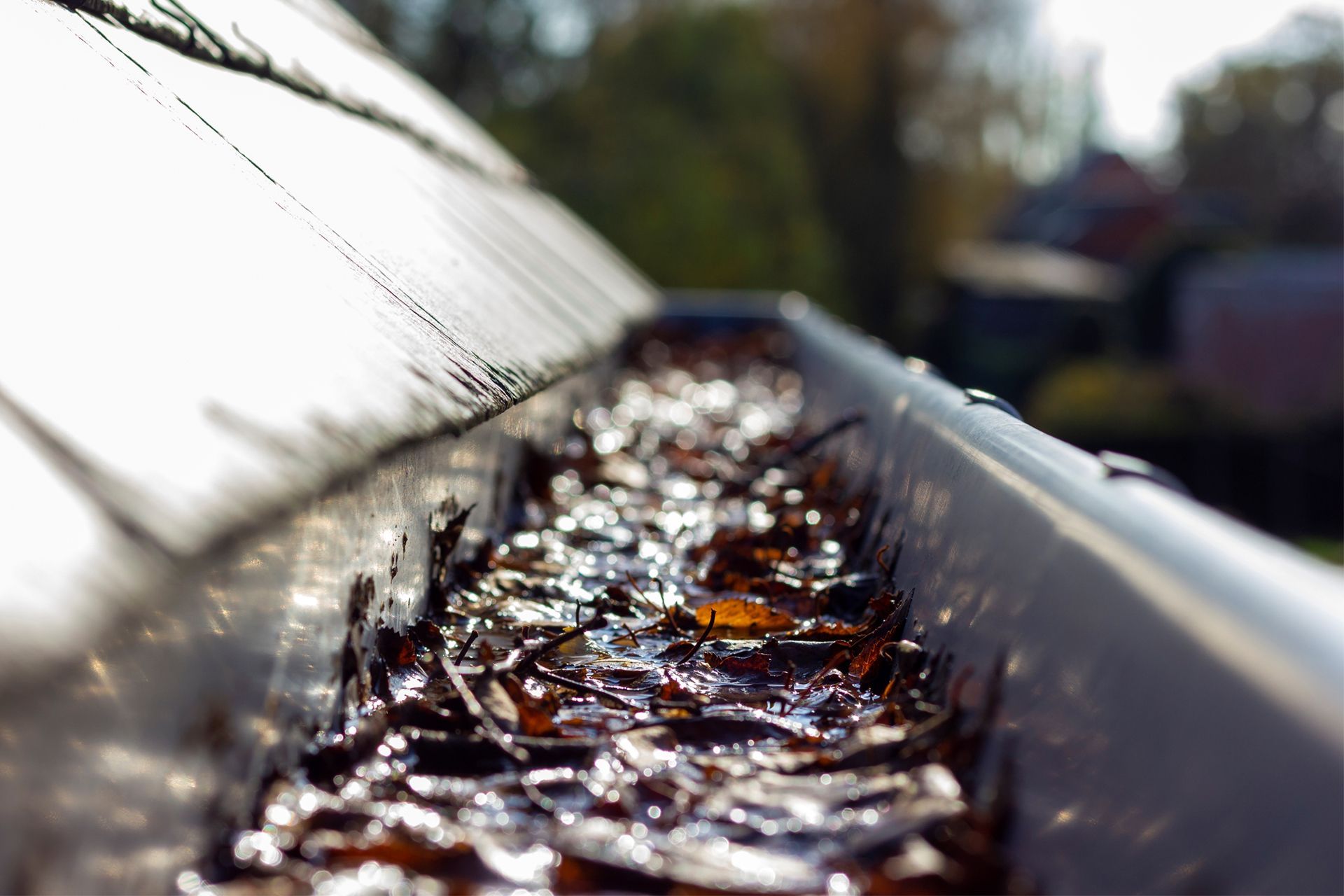 Standing Water in Clogged Gutter