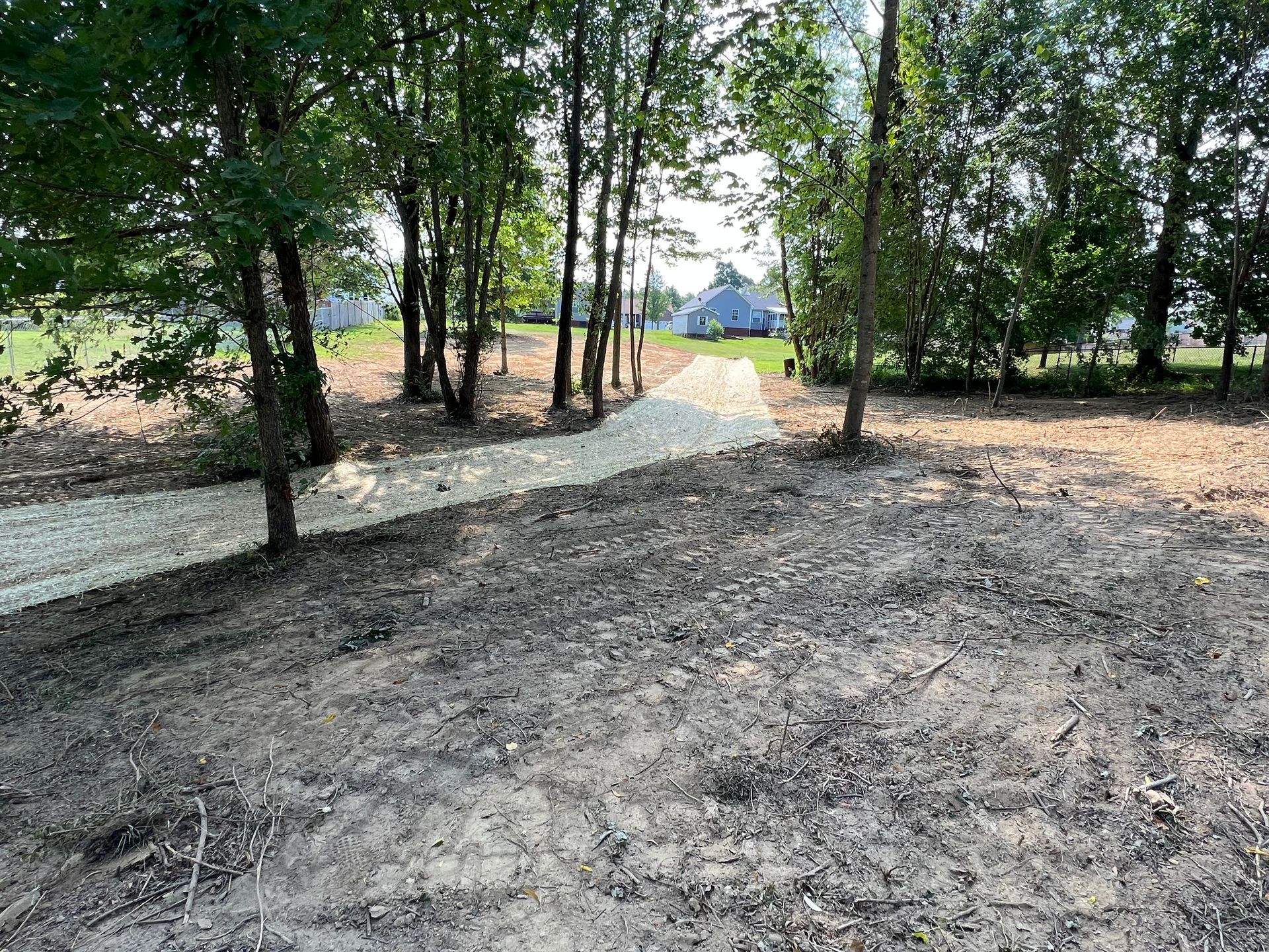 A dirt road going through a forest with trees in the background.