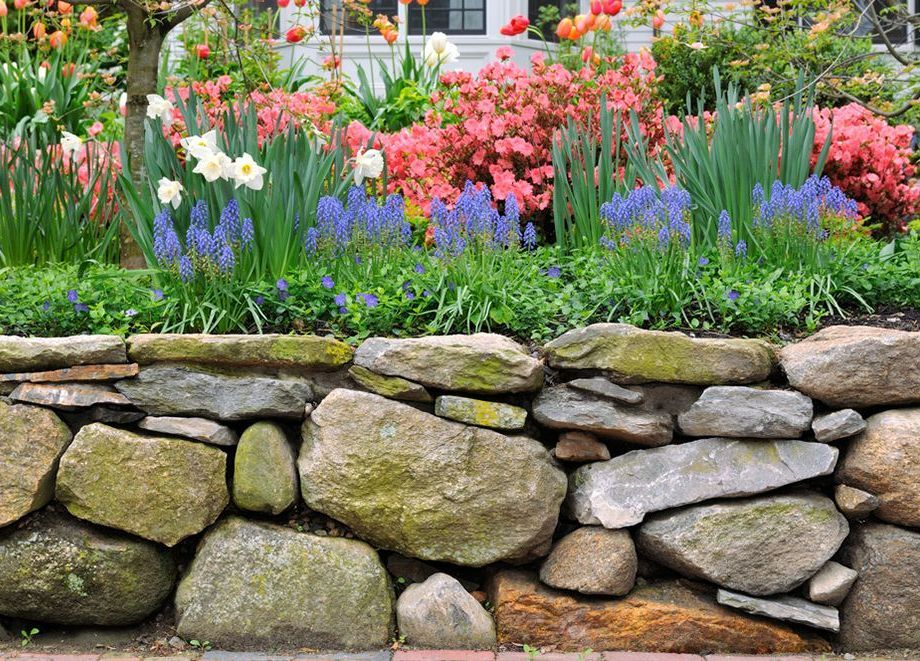 A Stone Wall Surrounded by Flowers in a Garden — Tuff Fencing in Caboolture, QLD