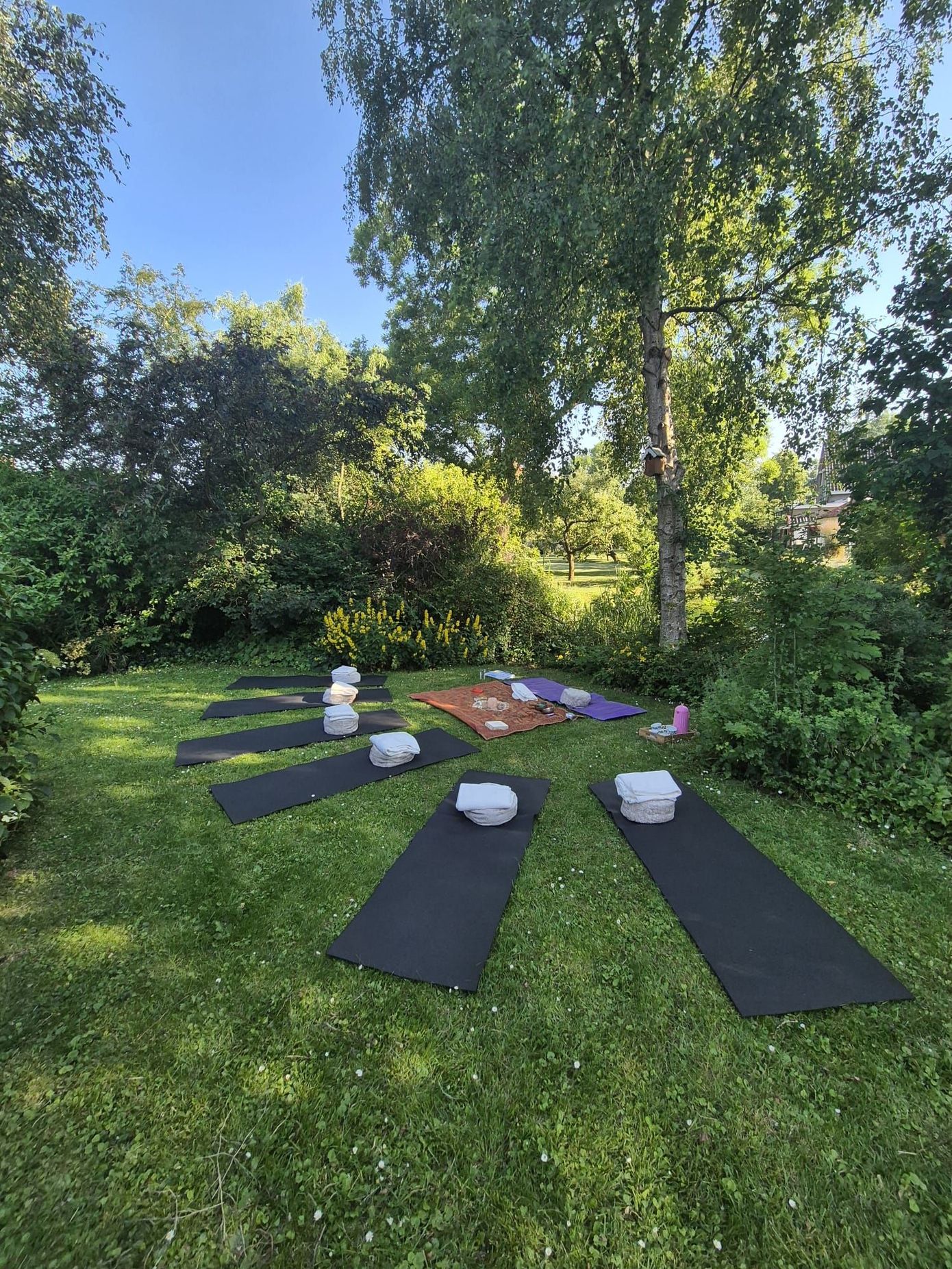 Studio Yoga mei Baukje Wommels Yoga