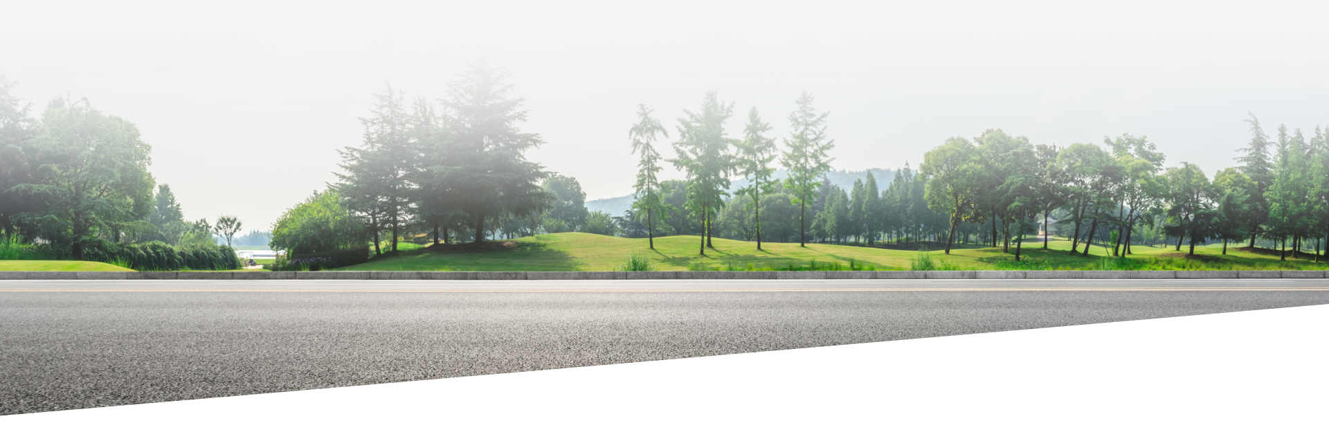 Image of forest with a road as the foreground view | American Five Star Auto Repair & Transmission