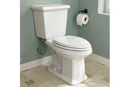 A white toilet is sitting in a bathroom next to a toilet paper dispenser.