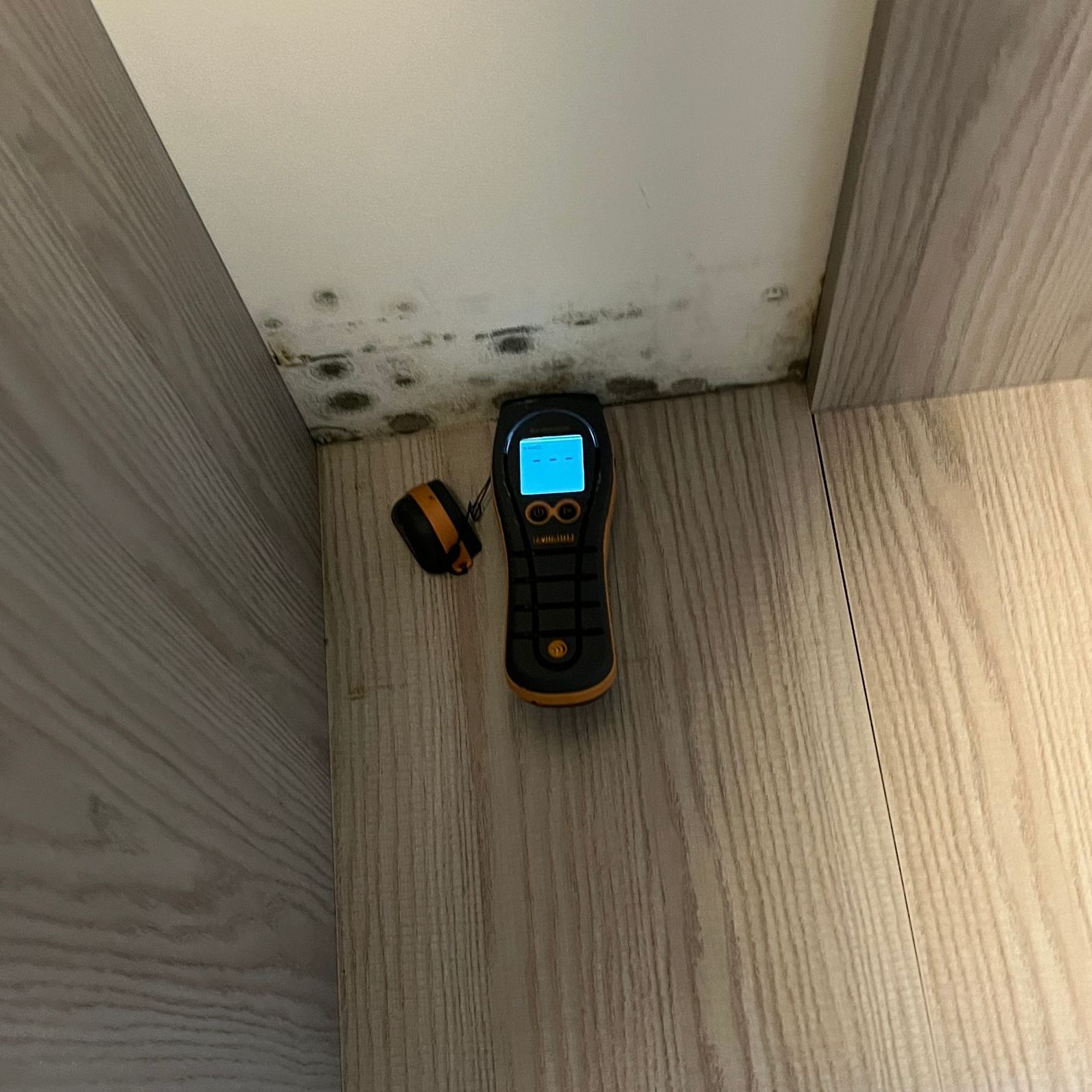 A measuring device is sitting on a wooden floor next to a mouldy wall.