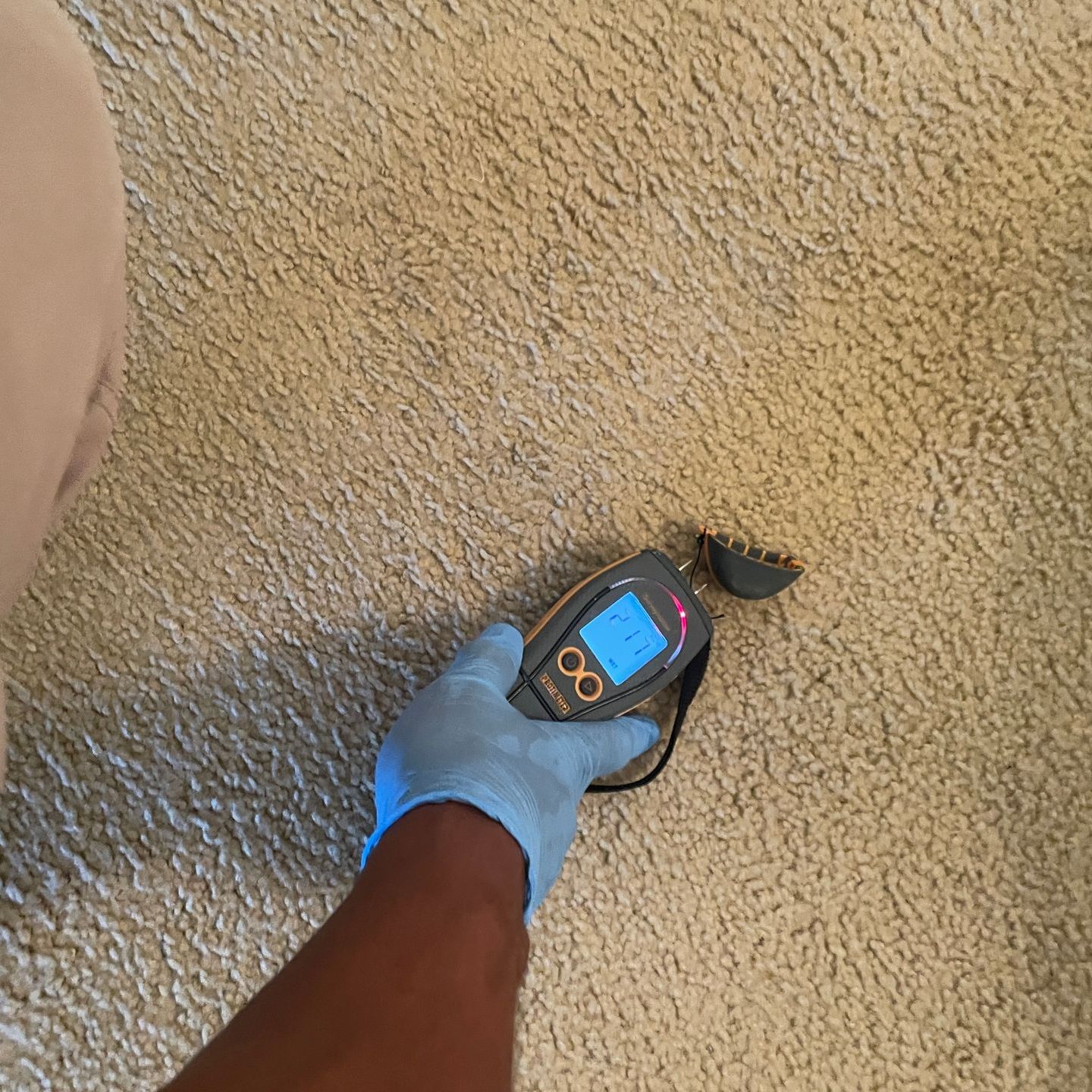 A person wearing blue gloves is holding a device on a carpet.