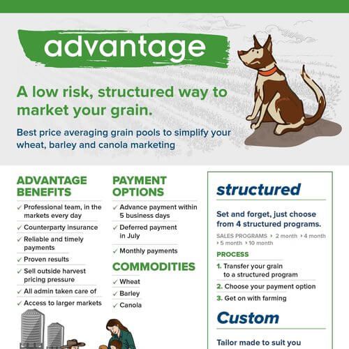 Advantage Grain product flyer download