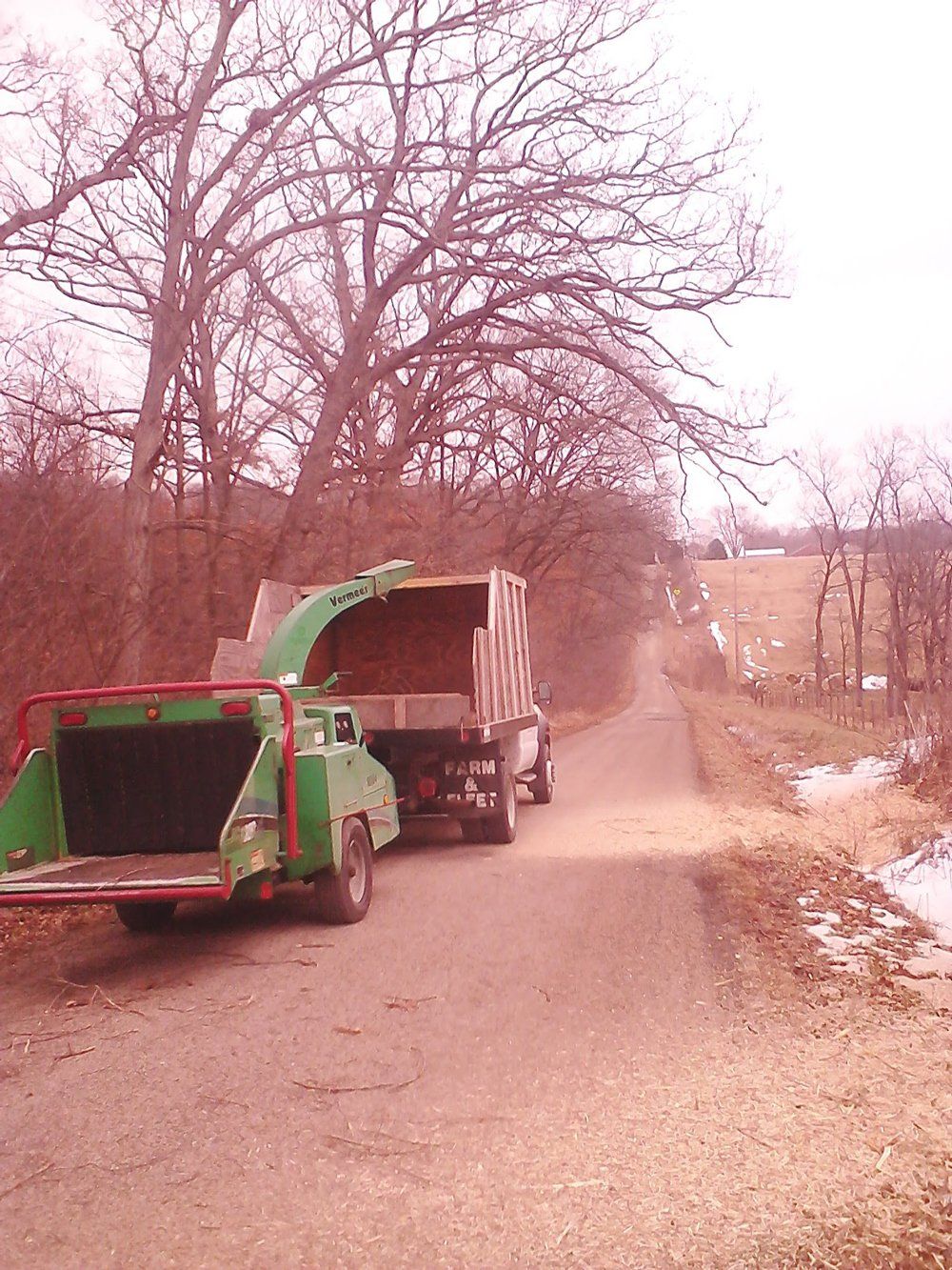 Green Truck — Peoria, IL — Buck’s Tree Service Inc