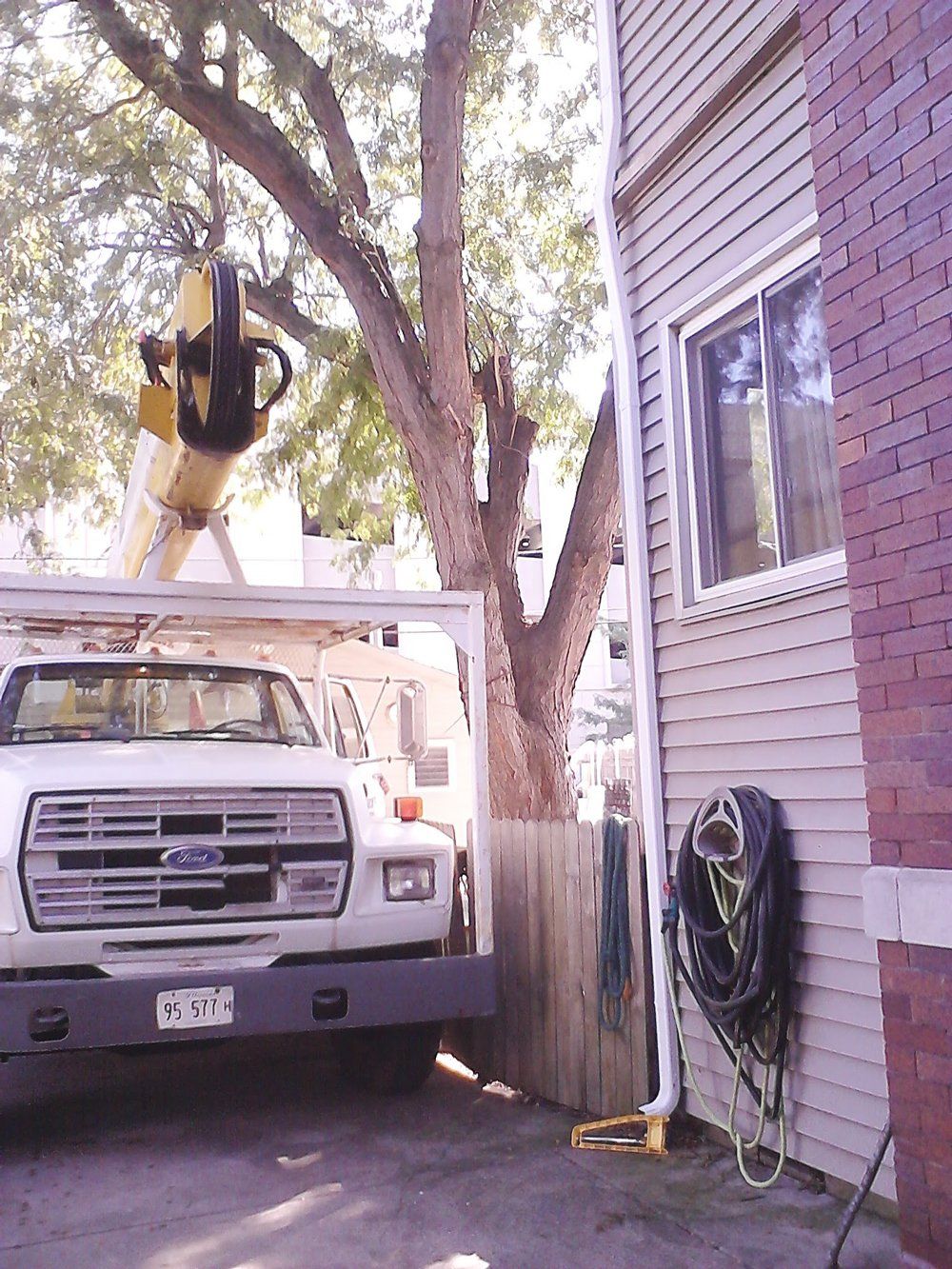 White Truck Beside the Tree — Peoria, IL — Buck’s Tree Service Inc
