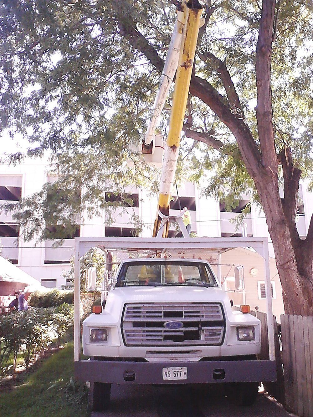 Tree Service Truck — Peoria, IL — Buck’s Tree Service Inc