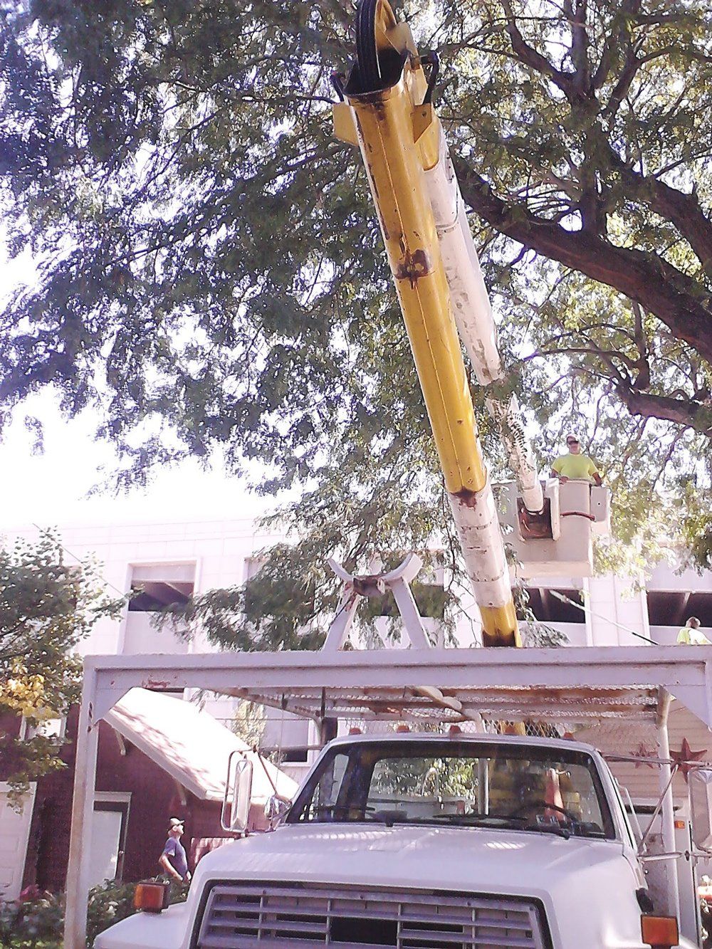 Truck For Tree Cutting Service — Peoria, IL — Buck’s Tree Service Inc