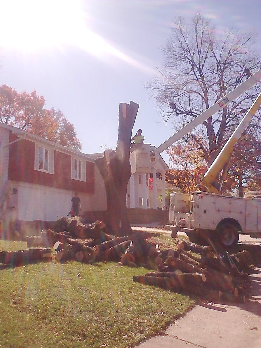 Man on the Truck Cutting a Tree — Peoria, IL — Buck’s Tree Service Inc