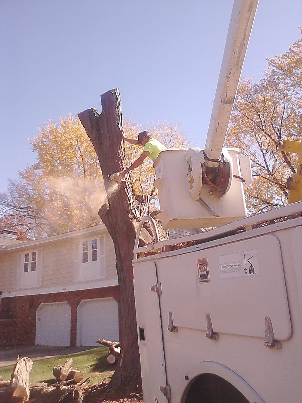 Cutting Down a Big Tree — Peoria, IL — Buck’s Tree Service Inc