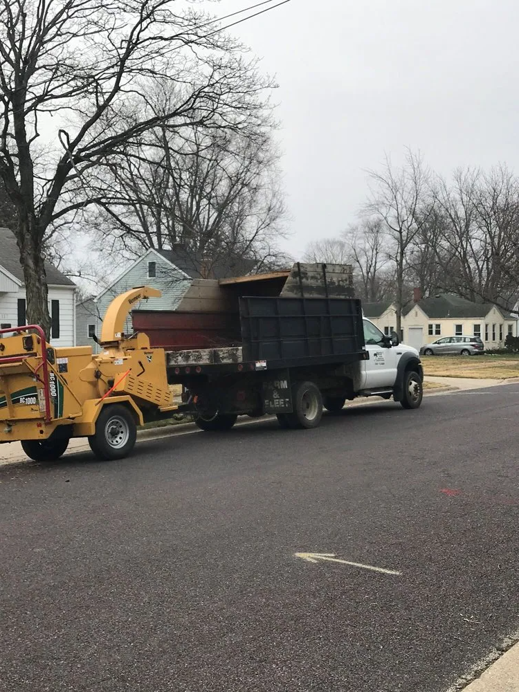 Tree Shredder — Peoria, IL — Buck’s Tree Service Inc