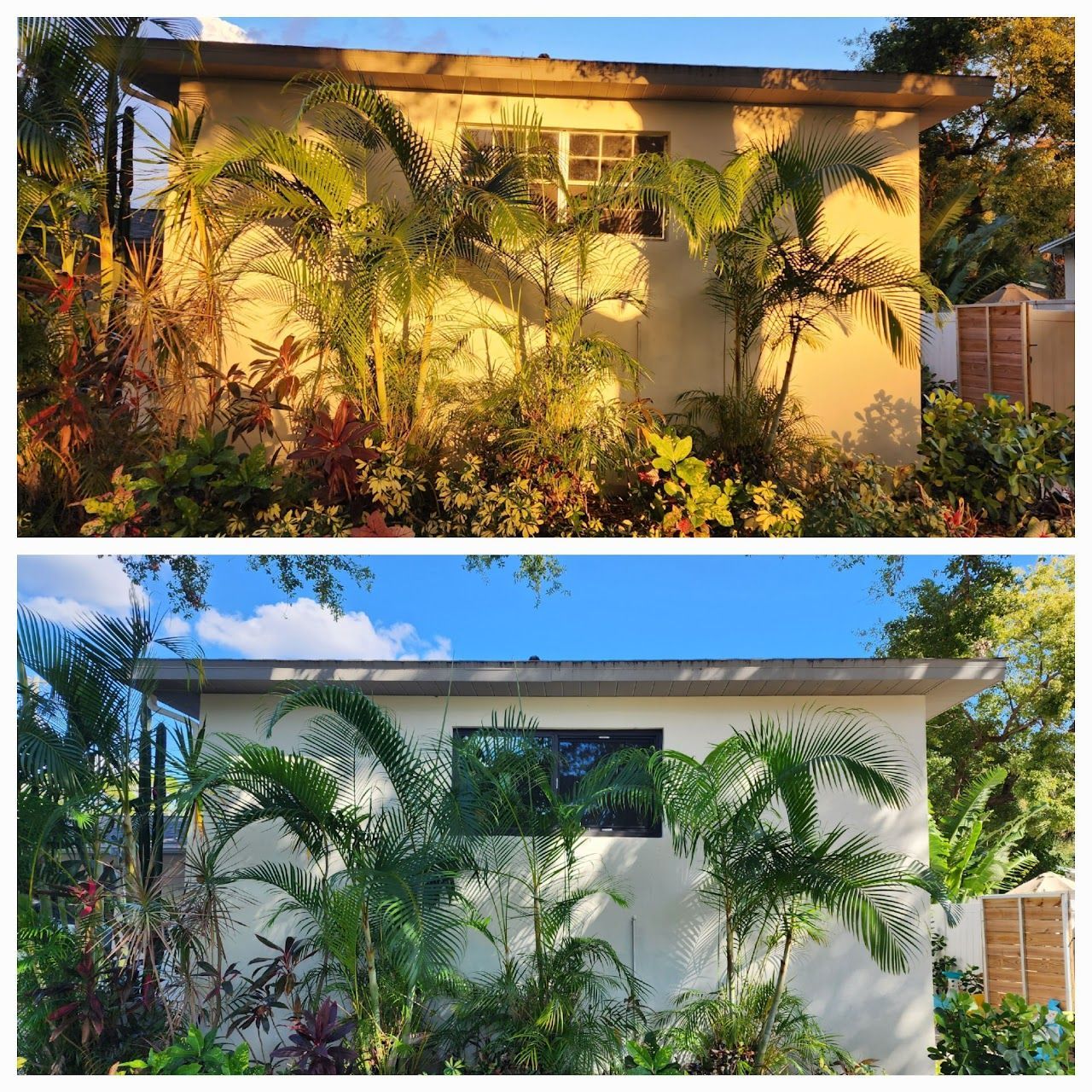 Tampa Bay home with hurricane windows and impact-resistant glass installation