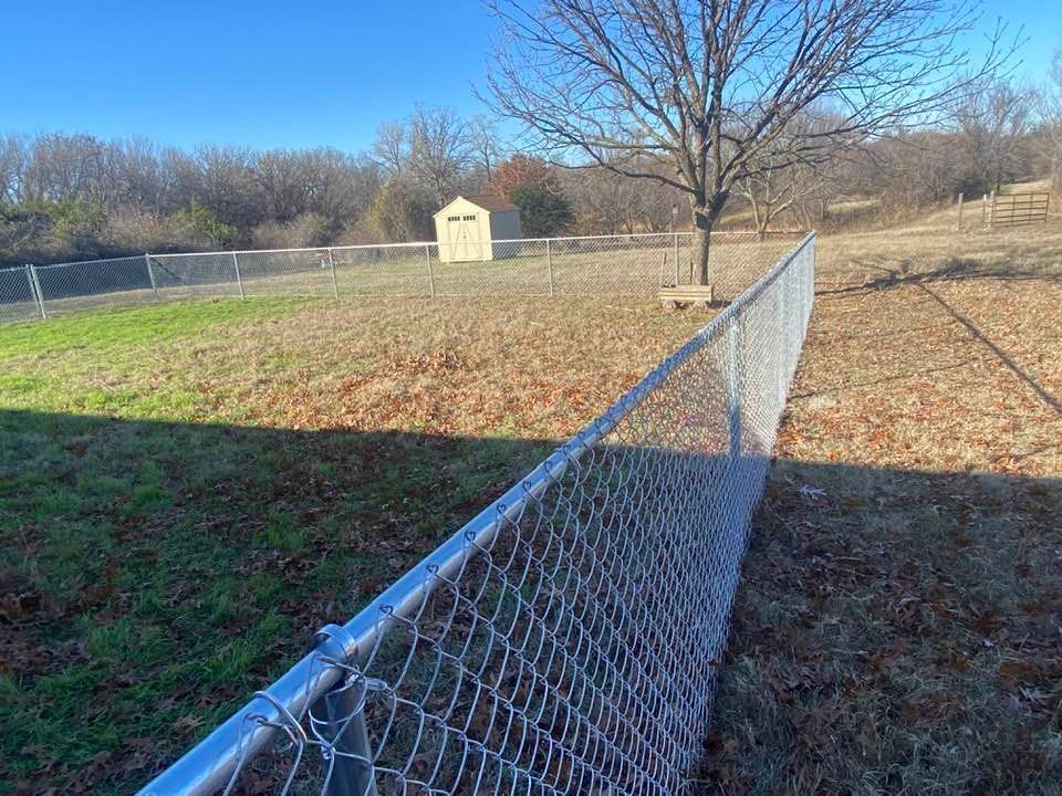 A chain link fence surrounds a grassy field with a shed in the background.