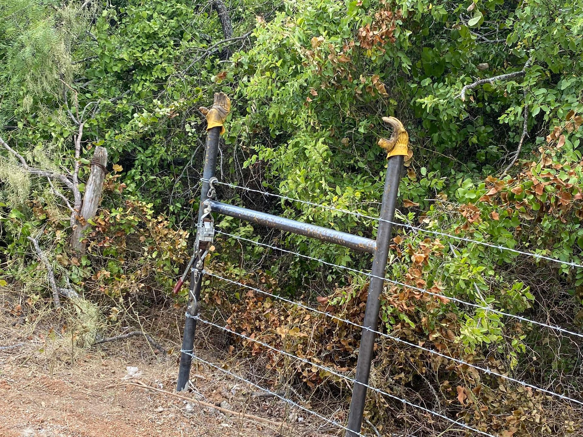 A barbed wire fence is surrounded by trees and bushes.