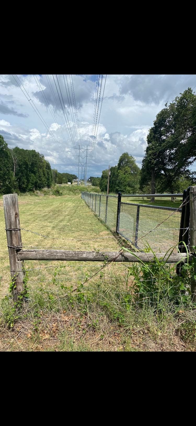 A wooden fence surrounds a grassy field with trees in the background.