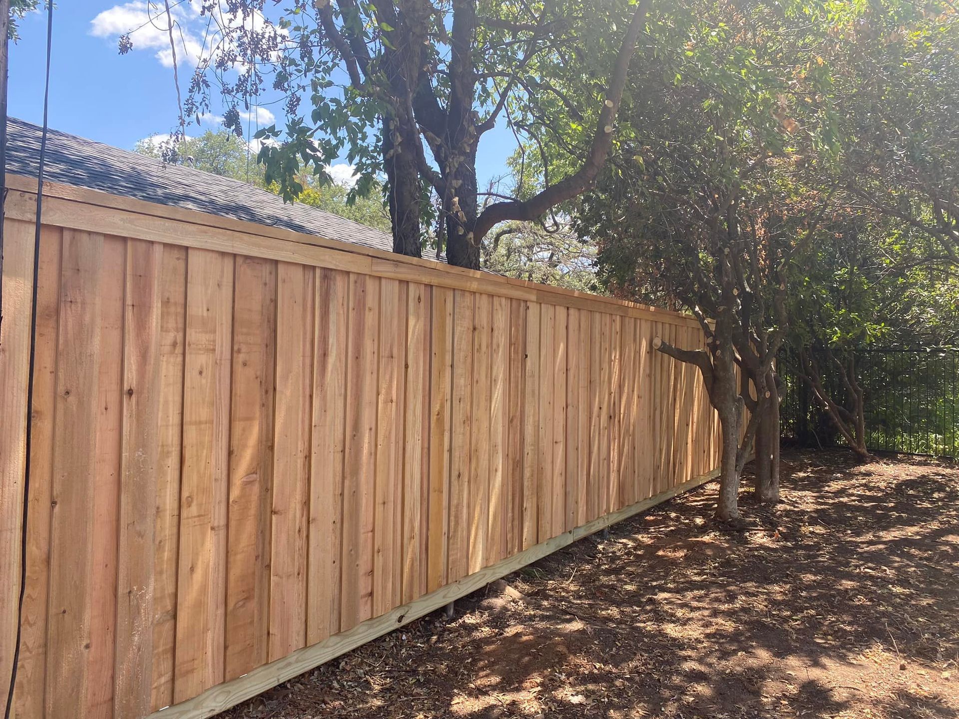 A wooden fence is surrounded by trees in a yard.