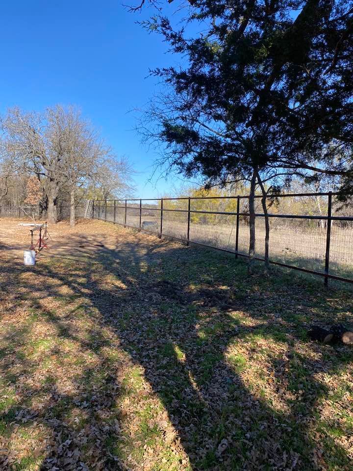 A metal fence surrounds a grassy field with trees in the background.