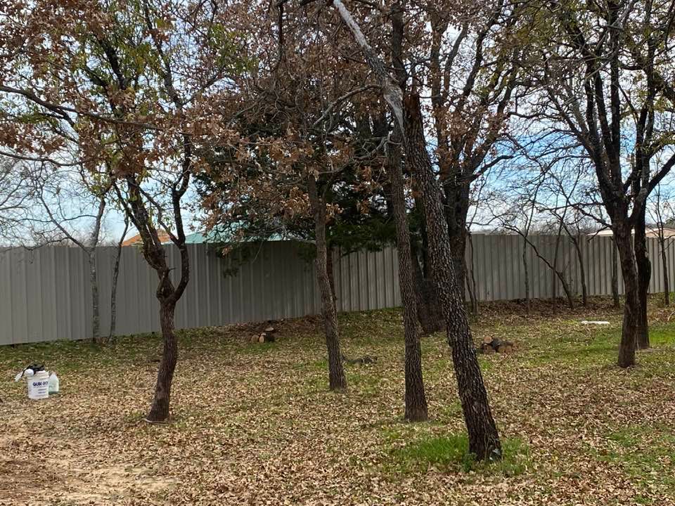 A backyard with trees and a white fence.
