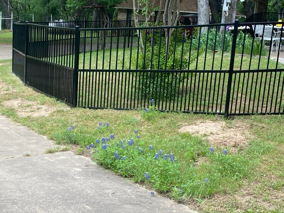 A black metal fence surrounds a lush green yard.