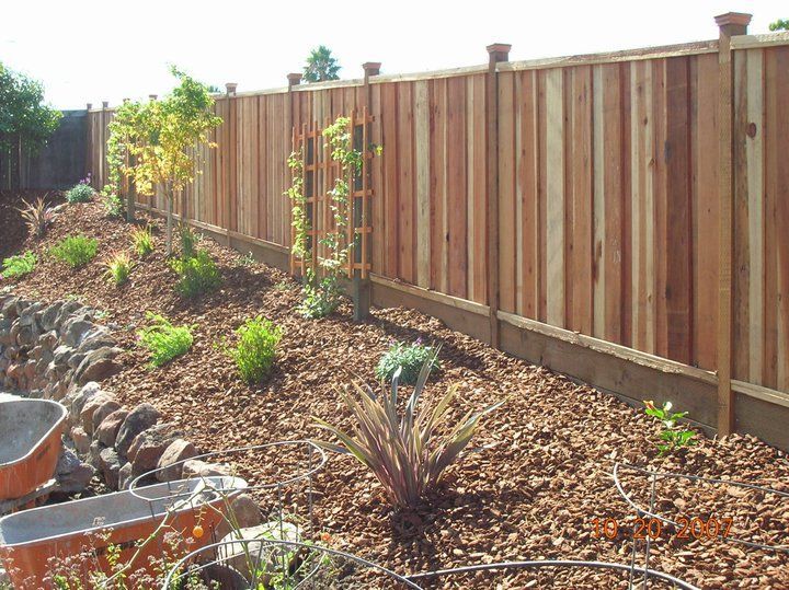 A wooden fence is surrounded by mulch and plants.