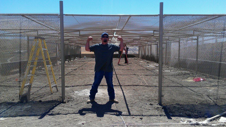 A man is standing in front of a fence with his arms in the air