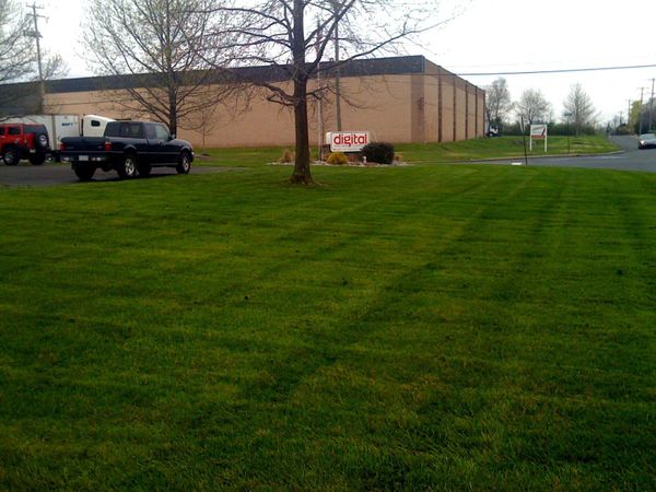 Commercial Lawn Mowing Care