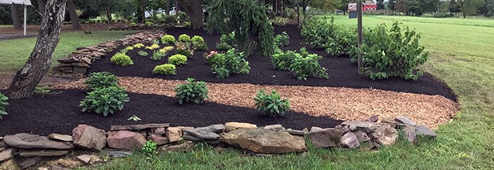 Benefits to Using Mulch In Your Backyard Retreat