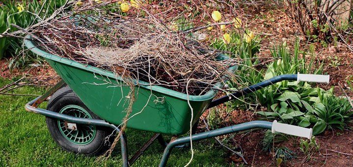 Spring Backyard Clean-up