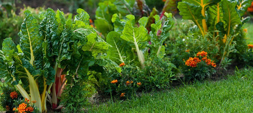 Landscaping Trends for Spring 2021 Potager Garden