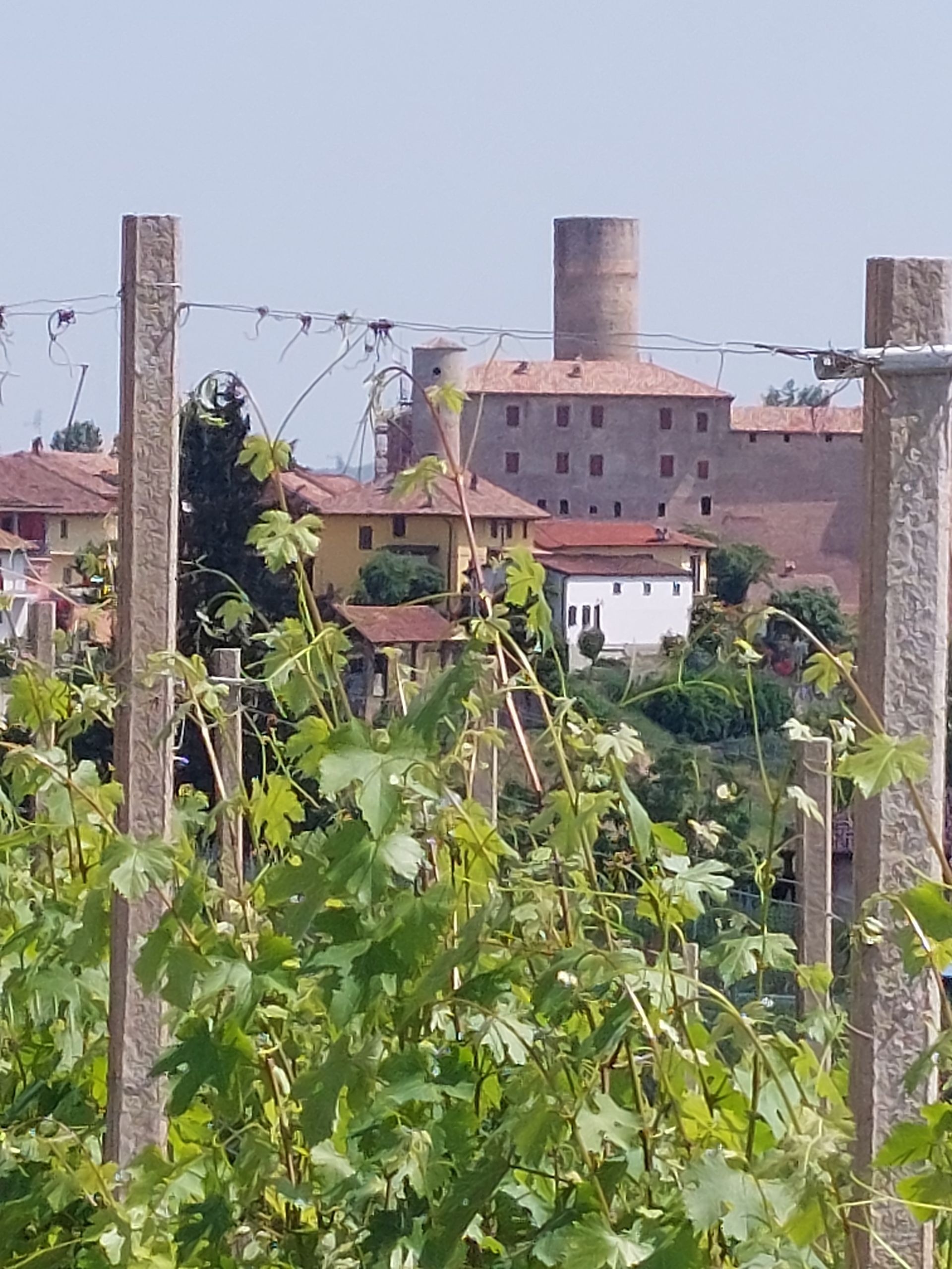 Castiglione Falletto