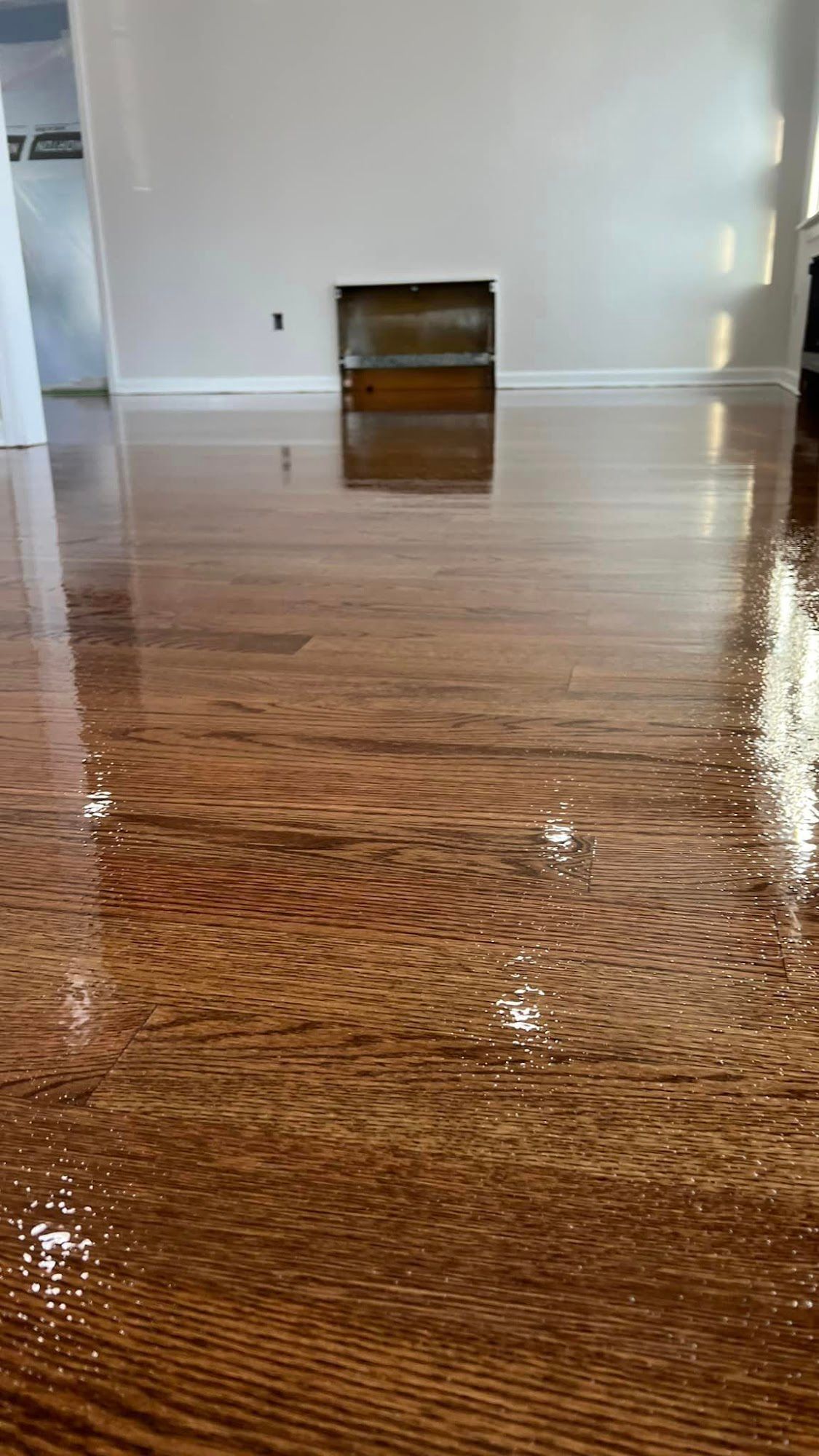 Shiny, newly-finished hardwood floor. Reflection of room features including a vent, in glossy wood.