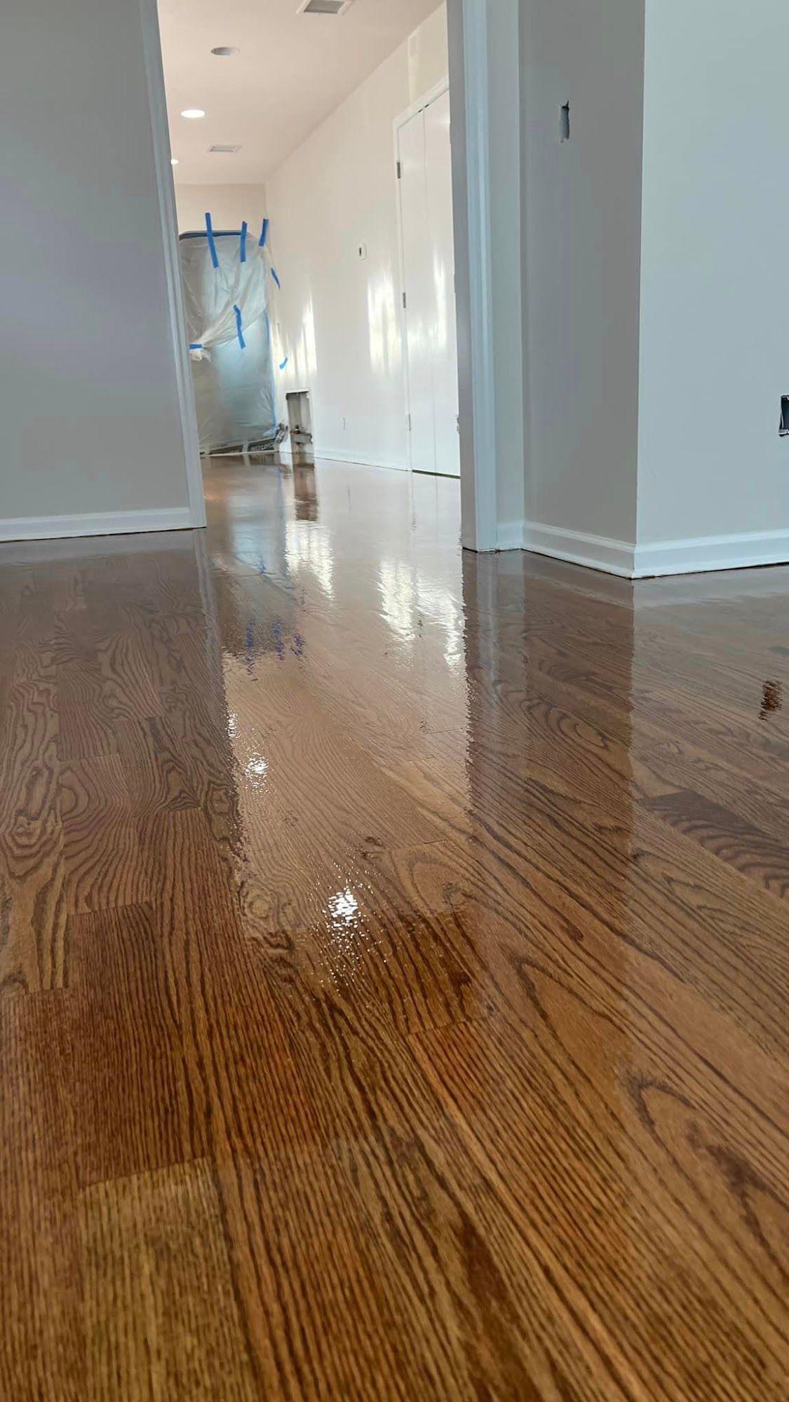 Newly finished hardwood floor in hallway, reflecting light; walls painted light gray and white.
