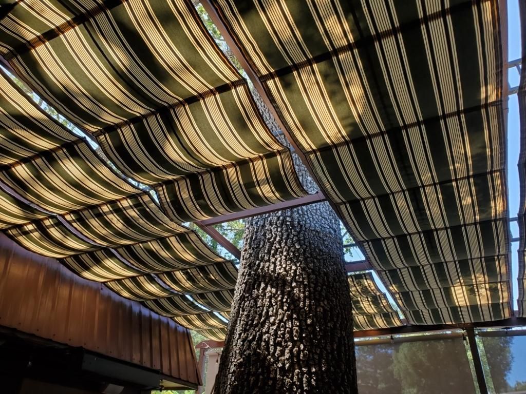 A striped awning is hanging from the ceiling of a building