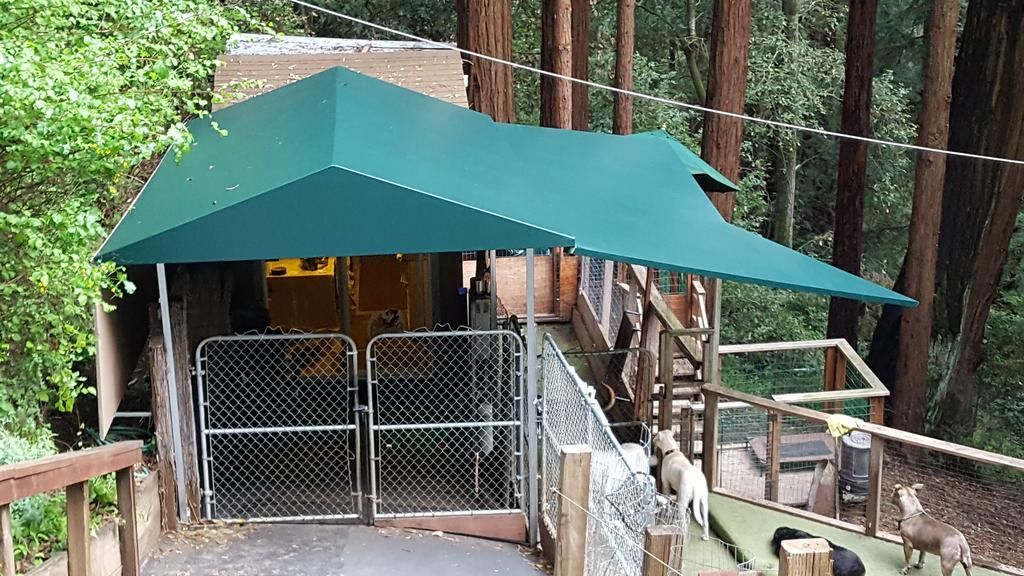 A green awning is covering a dog kennel in the woods.