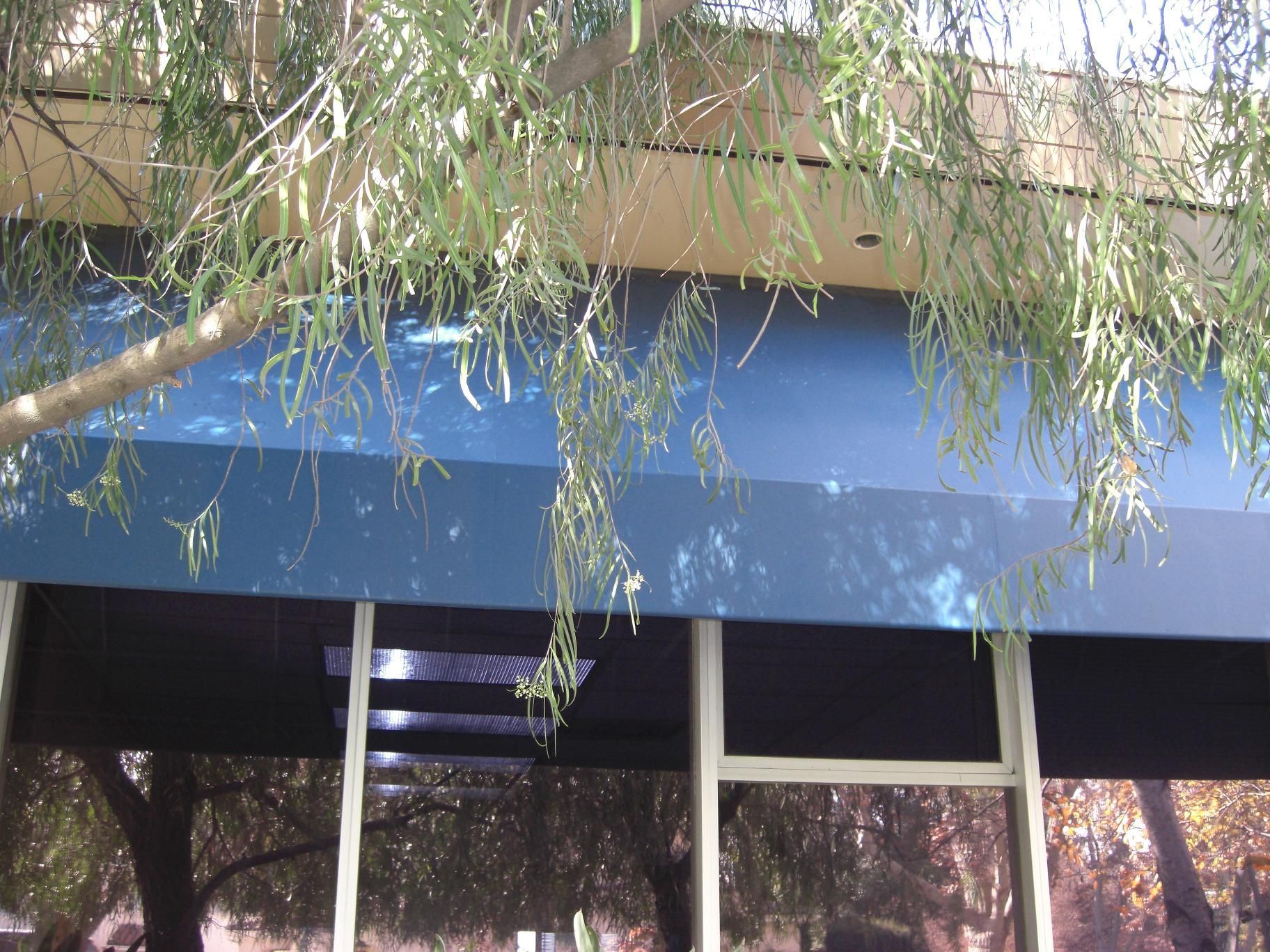 A green and white striped awning is on the front of a pharmacy