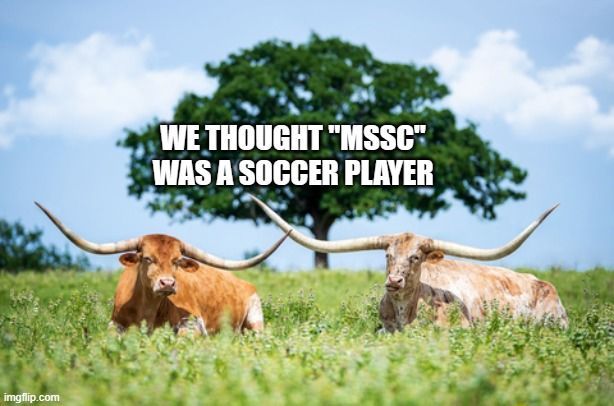 texas longhorns