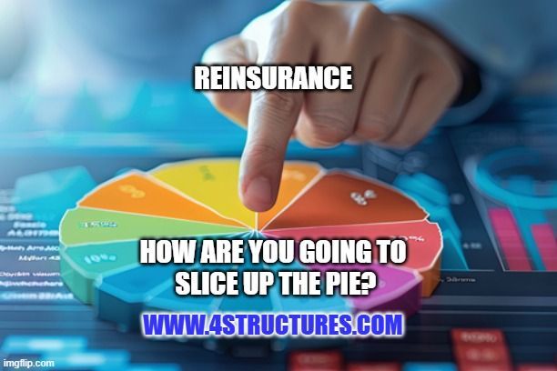 periodic paymnent reinsurance