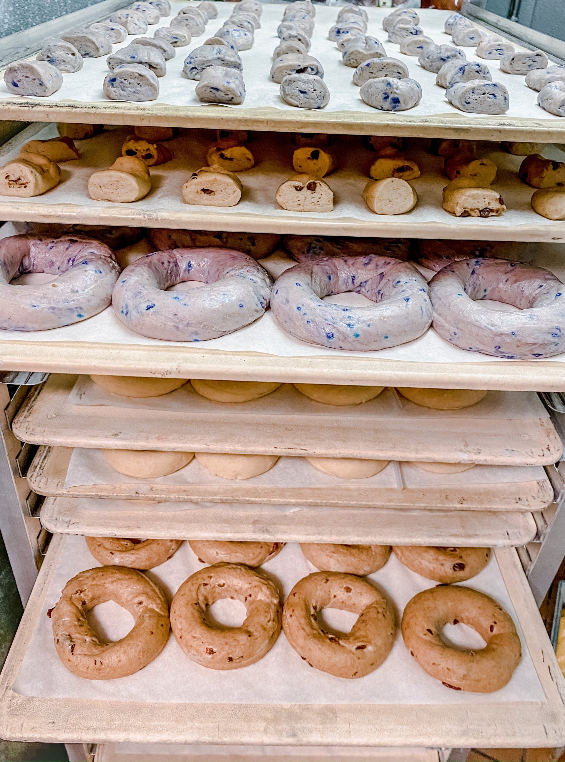 The Best Bagels in Columbia, MO B&B Bagel Company