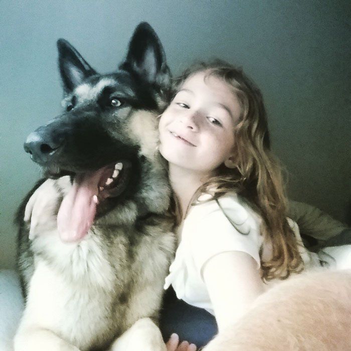 German Sheppard GSD who completed dog training, pictured here with Leanna.