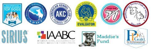 Naples Top Dogs Dog Training Certifications & Partners