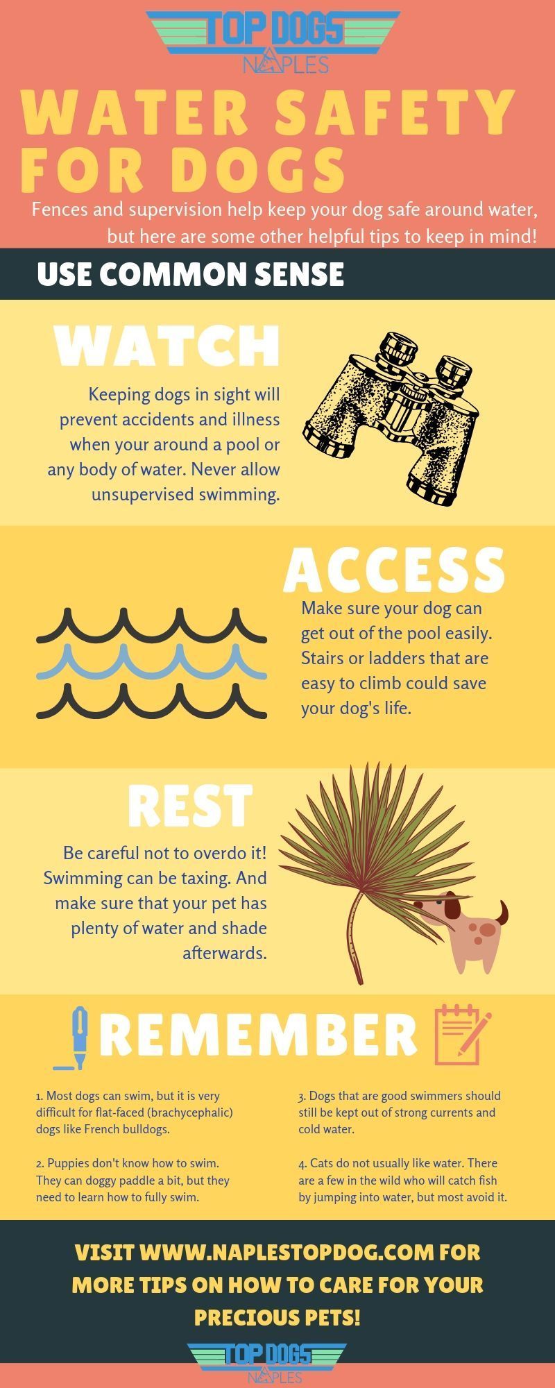 Dog Safety in Water Info Graphic